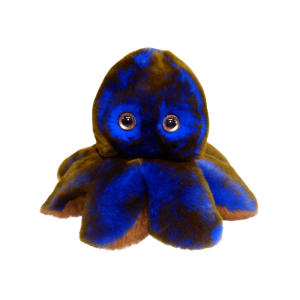 Peluche Octo le Poulpe