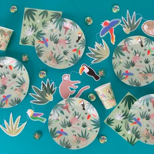 Pack Anniversaire MY LITTLE DAY Jungle